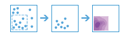 Calculate Density